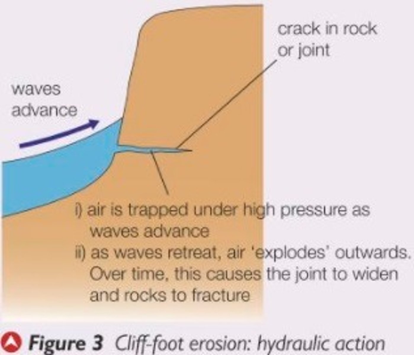 <p>the sheer power of the waves as they smash against the cliff</p><p>air becomes trapped in the cracks in the rock and causes the rock to break apart</p>