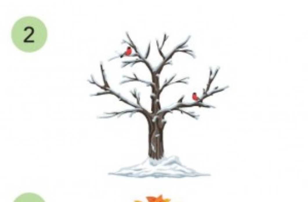 <p>winter</p>