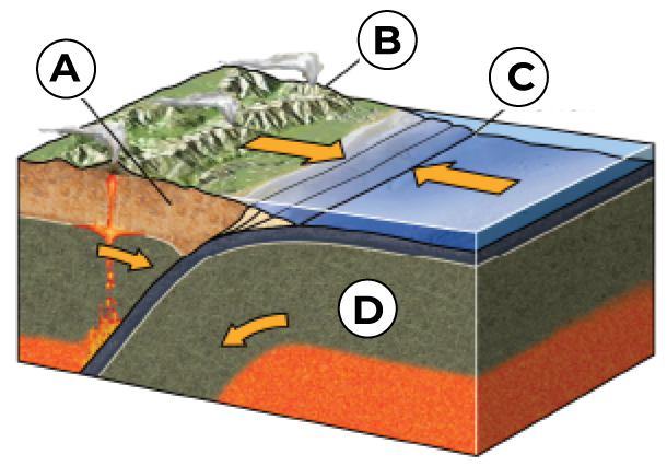 <p>What is B? </p>