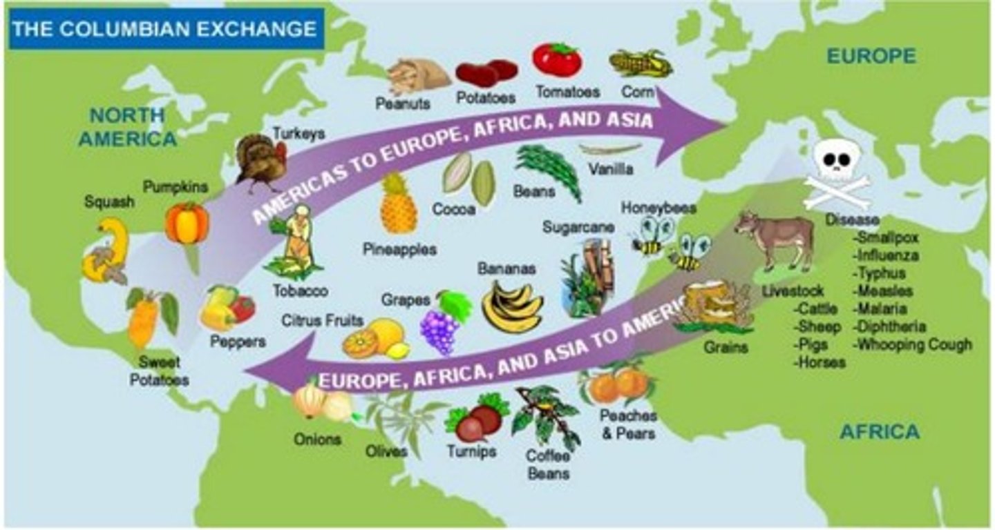 <p>The Columbian Exchange.</p>
