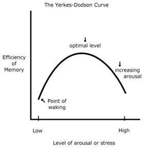 <p>Yerkes-Dodson effect </p><p>when anxiety levels are low and high, EWT is less accurate then when it is at medium level</p>