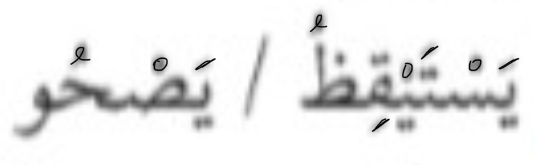 term image