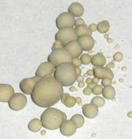 <p>exterior = struvite</p><p>interior = calcium oxalate</p>