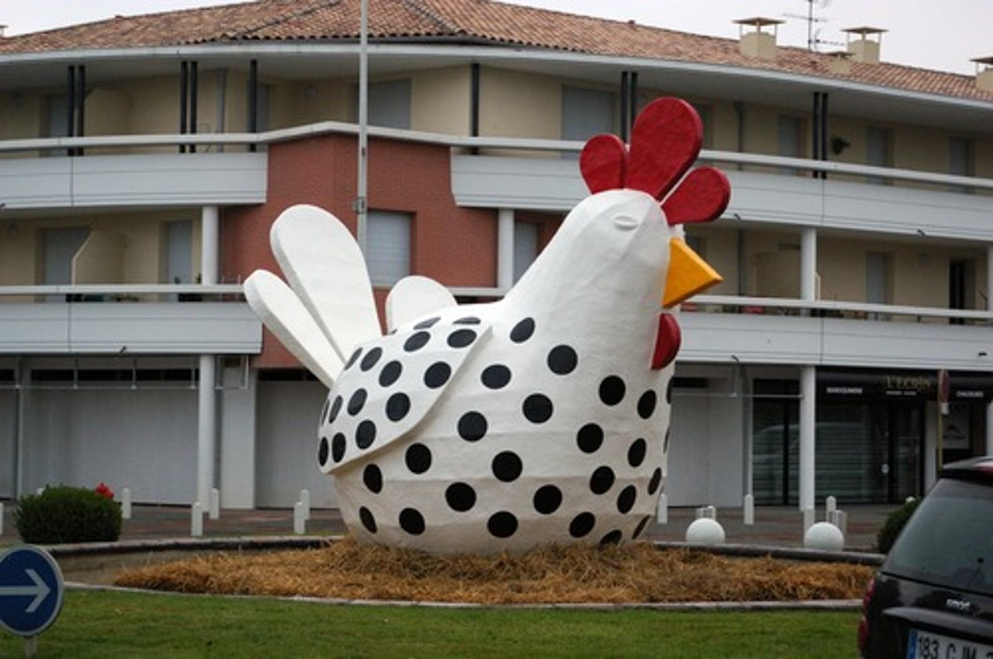 <p>chicken</p>