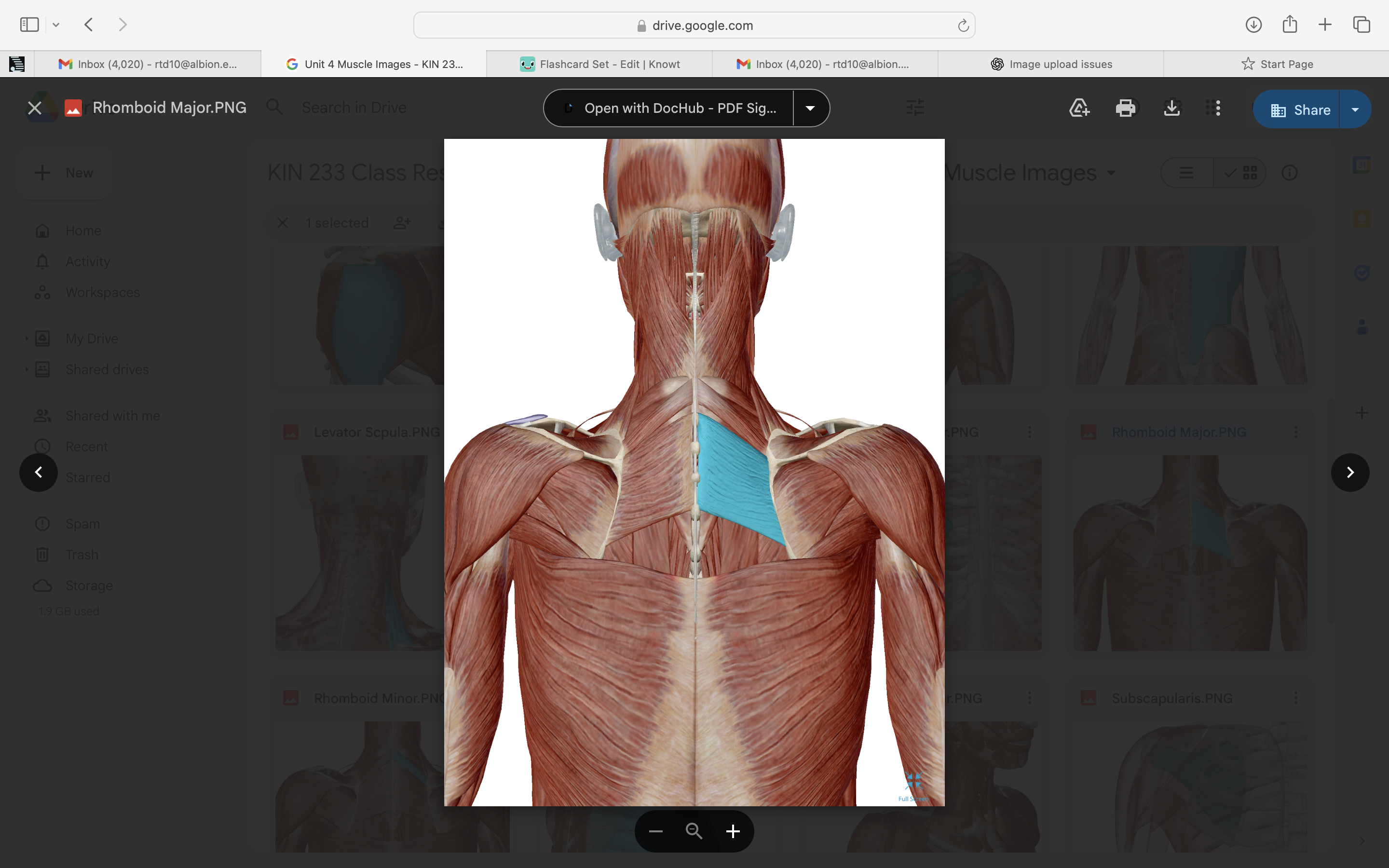 <p>whats the Origin of rhomboid and insertion </p>