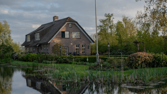 <p>Tangible Factor & Examples</p>