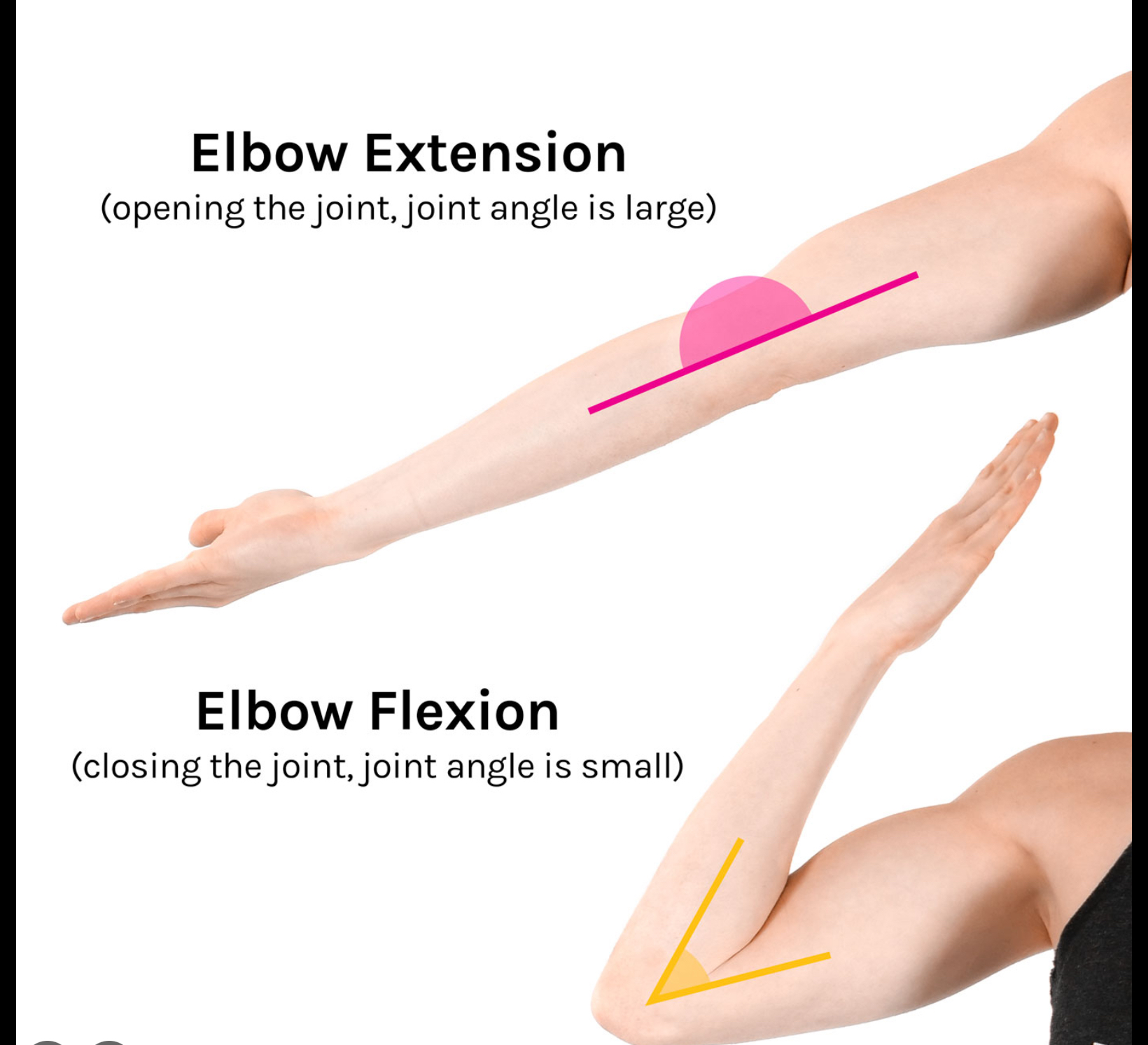 <p>Straightens the joint</p>