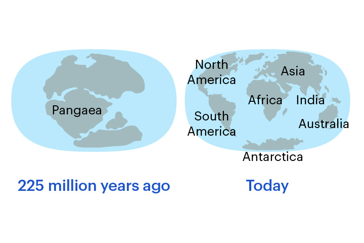 <p>The movement of continents around the surface of Earth</p><p>Continental drift theory was proposed by Alfred Wegener in 1912 but was widely accepted only in the 1960s.</p>