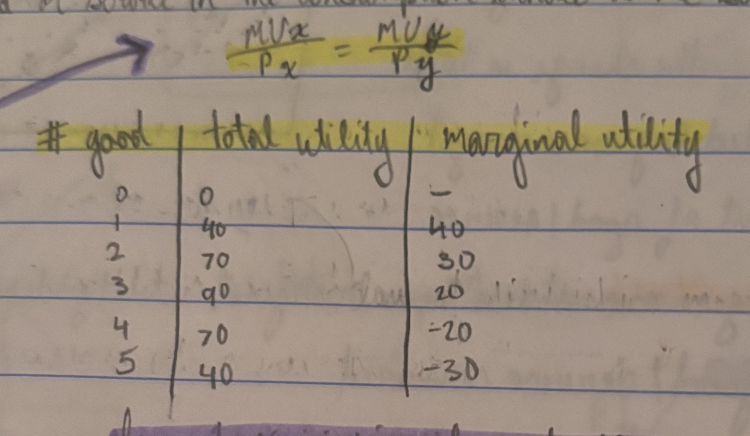 <p>optimal consumption rule</p>