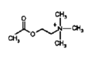 <p>What NT is this?</p>
