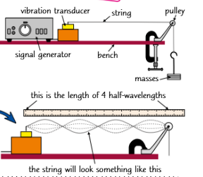 <ol><li><p>Set up the equipment shown on the right, then turn on the signal generator and vibration transducer. The string will start to vibrate.</p><ol start="2"><li><p> Adjust the frequency of the signal generator until there's a clear wave on the string. The frequency you need will depend on the length of string between the pulley and the transducer, and the masses you've used.</p></li><li><p> You need to measure the wavelength of these waves. The best way to do this accurately is to measure the lengths of, say four or five half-wavelengths (as many as you can) in one go, then divide to get the mean half-wavelength. You can then double this mean to get a full wavelength.</p></li><li><p> The frequency of the wave is whatever the signal generator is set to.</p></li><li><p> You can find the speed of the wave using v = f<span>λ</span>.</p></li></ol></li></ol><p></p>