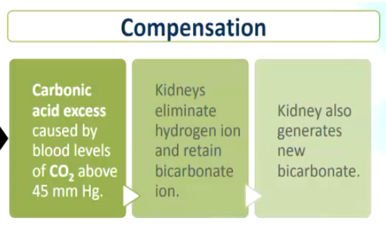 <p></p><ul><li><p>CNS depression (anaesthesia).</p></li><li><p>Resp. muscle paralysis/ diaphragm paralysis, rib fractures, etc..</p></li><li><p>Obstructive lung diseases e.g. Emphysema.</p></li><li><p>Pulmonary edema</p></li></ul><p></p><p></p><p></p>