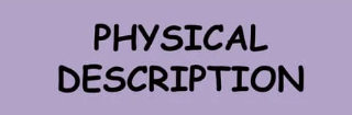 <p>corto</p>