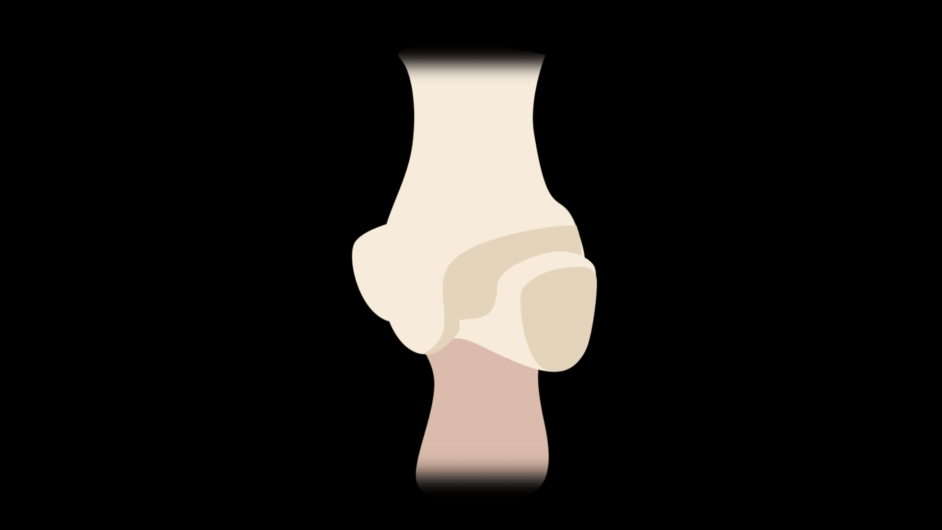 <p>A type of joint that allows for abduction, adduction, flexion, extension, and circumduction. It cannot do rotation, though. One example is the joint in the thumb that connects the carpals and the metacarpals (trapeziometacarpal joints or first carpometacarpal joint).</p>