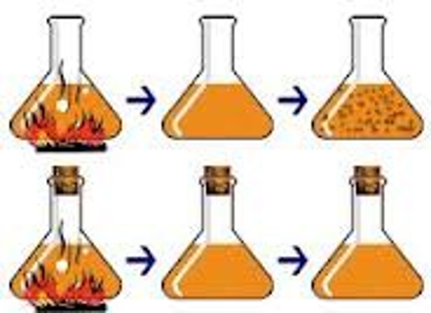 <p>(mid 1700s)<br>- Supported Abiogenesis (w/ broth boil experiment)</p>