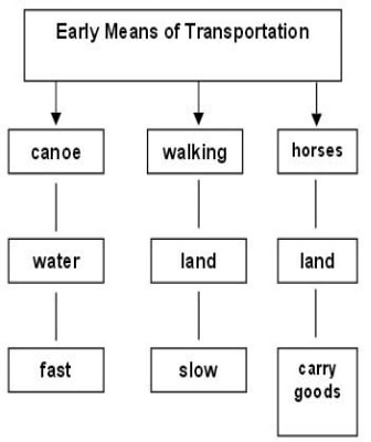<p>Identify what type of organizer is this:</p>