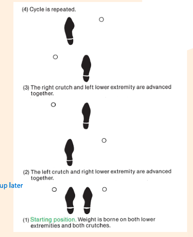 <p>What kind of gait pattern</p><ul><li><p>Less stable -> only two points of floor contact are maintained</p></li><li><p>Requires better balance</p></li><li><p>More closely simulates normal gait</p></li></ul><p></p>