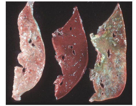 <p>What is this?</p>