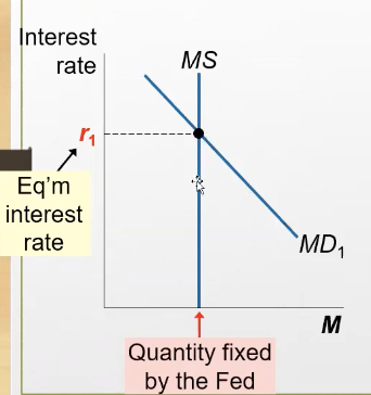 <p>Based on this graph, what’s the relationship between R and MS &amp; MD?</p>