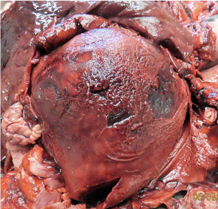 <p>What is this showing?</p>