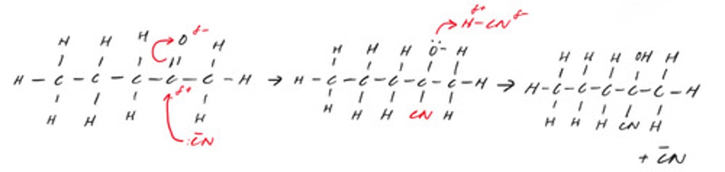 <p>MP1 - curly arrows from lone pair on C of CN- to C of ketone group</p><p>MP2 - curly arrow from C=O to O</p><p>MP3 - intermediate step</p><p>MP4 - curly arrow from lone pair on O- to H and curly arrow from H-CN bond to anywhere on CN</p>