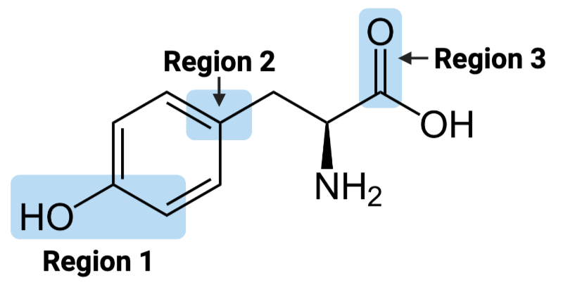 <p><span>The entire molecule is best classified as ____.</span></p>