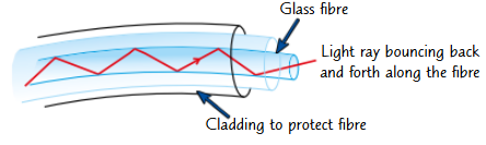 <ul><li><p>Optical fibres are thin glass or plastic fibres that can carry data (e.g. from telephones or computers) over long distances as pulses of visible light.</p></li><li><p>They work because of reflection (p.75). The light rays are bounced back and forth until they reach the end of the fibre.</p></li><li><p>Visible light is used in optical fibres.</p></li><li><p>Light is hot easily absorbed or scattered as it travels along a fibre.</p></li></ul><p></p>