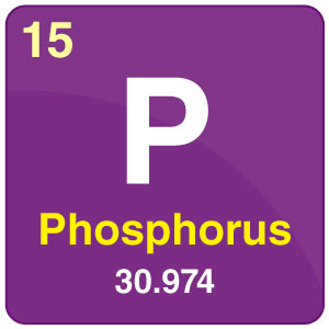 <p>State # of protons, electrons, neutrons in neautral Phosphorus atom:</p>