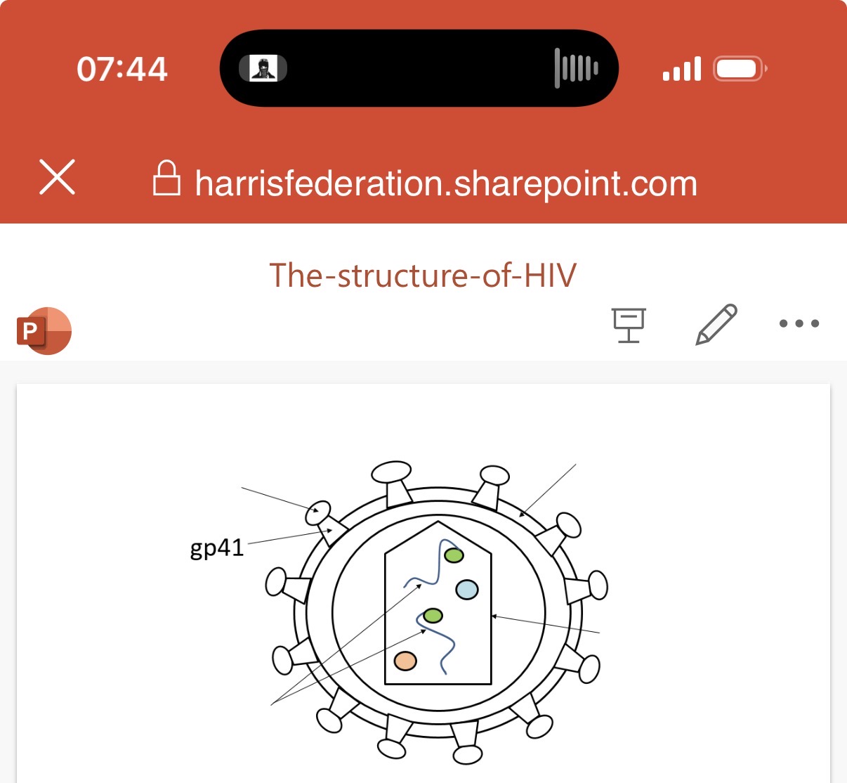 <ol><li><p>Label the image of the structure of hiv ?</p></li></ol><p></p>