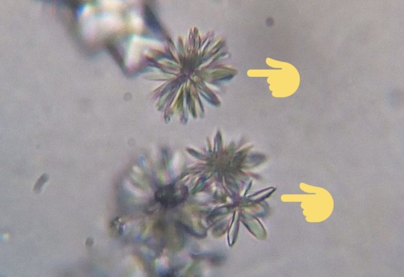 <p></p><p>emojis pointing at</p>