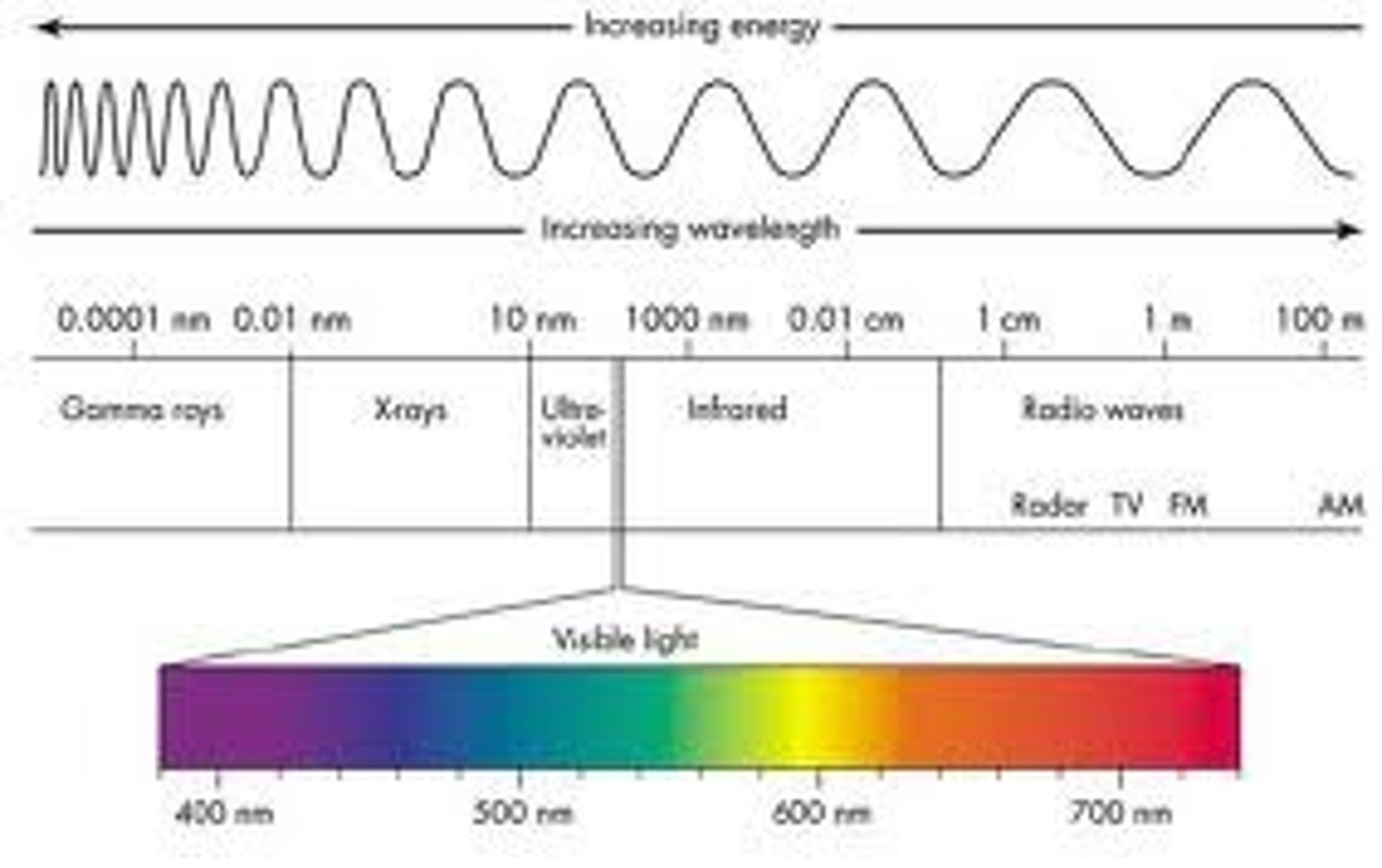 <p>the full range of electromagnetic waves from longest to shortest (radio waves (longest wavelength), microwaves, infrared waves, visible light, ultraviolet light, x-rays, and gamma rays (shortest wavelength) )</p>