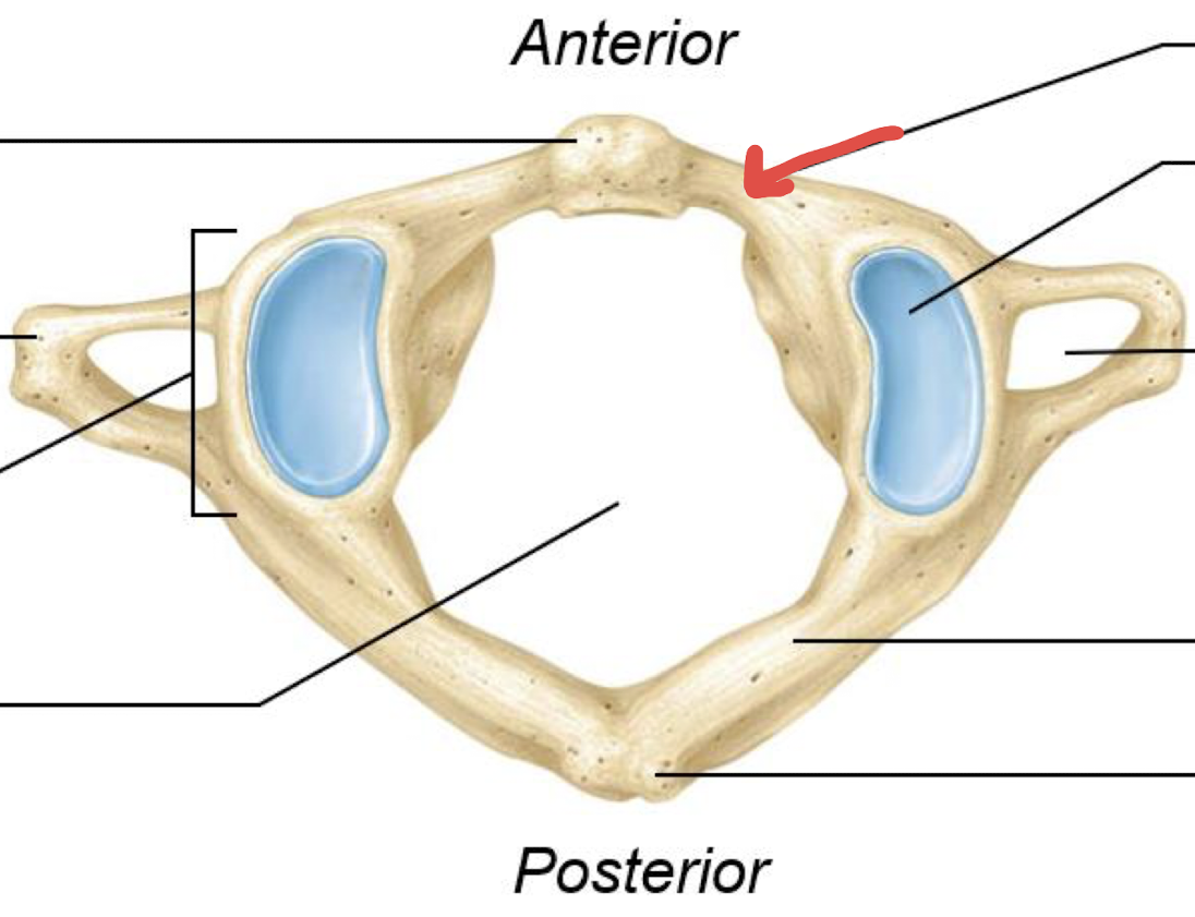 <p>what is this?</p>