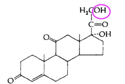 <p>have an OH on the C21</p>