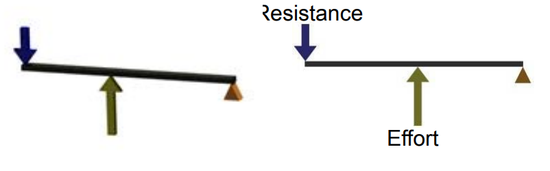 <p>Fulcrum is located at one end of the lever. </p><p>Effort force is located between the fulcrum and the resistance. </p><p>Resistance force and effort force are in opposing directions.</p><p> Always has a mechanical advantage &lt; 1.</p>