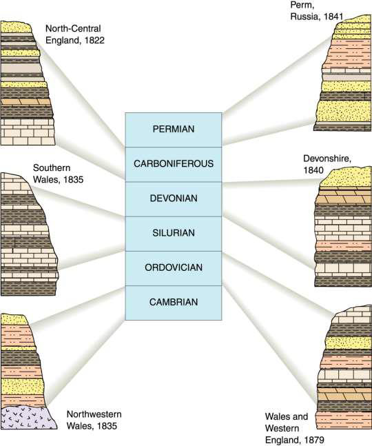 <ul><li><p><span>diagram that represents the sequence of rock formations and their relationship to geologic time</span></p></li><li><p><span>oldest rocks at the bottom and youngest at the top</span></p></li></ul><p></p>