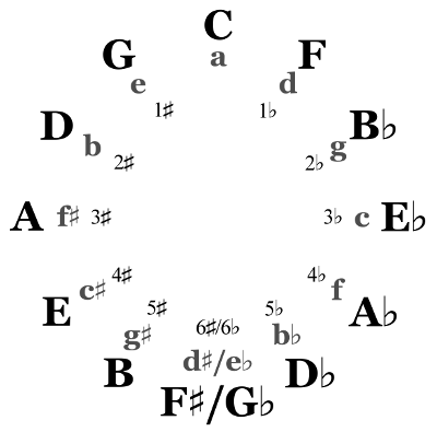<p>B C# D# E F# G# A#</p>