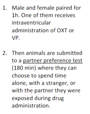 <ul><li><p>exposure to a partner while injected with VP or OXT increased preference for partner </p></li></ul>