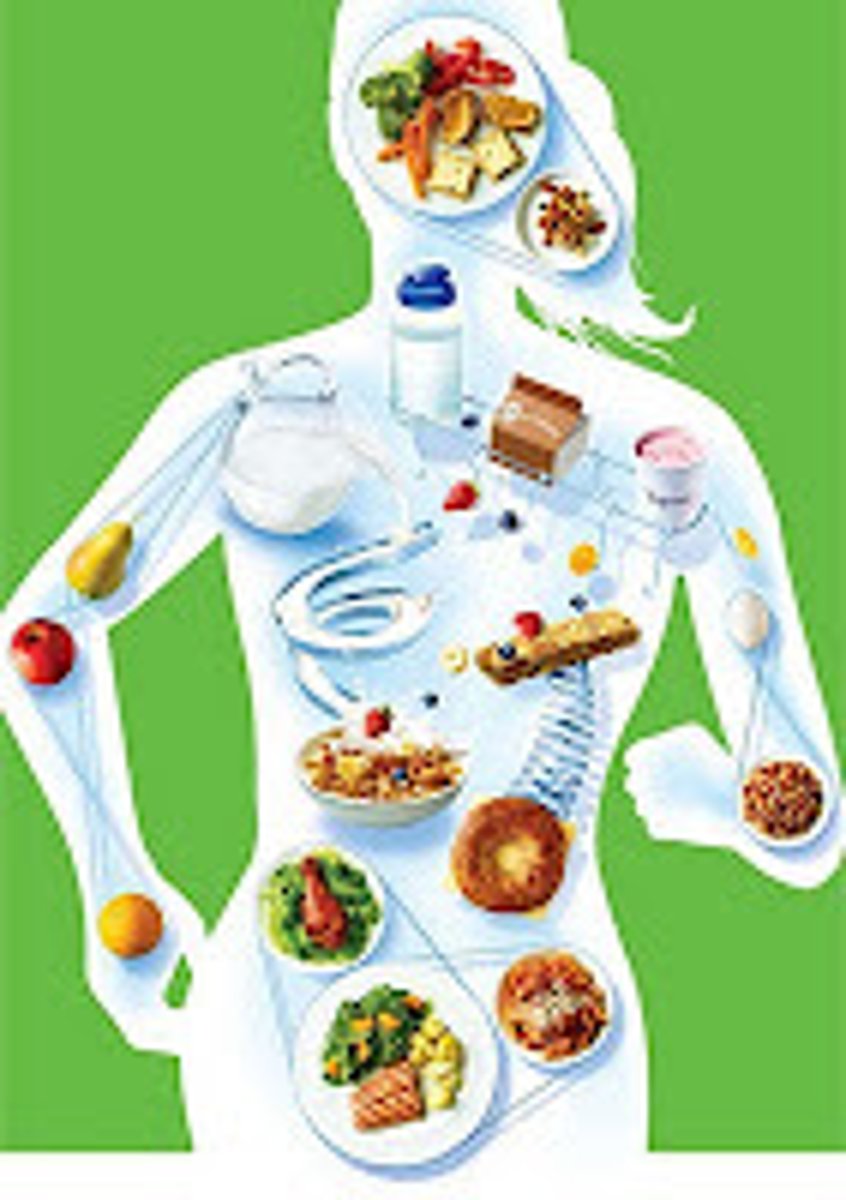 <p>The intake of food and the processes that convert food substances into living matter.</p>