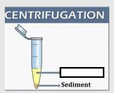 <p></p><p> To more rapidly and completely cause the precipitate (pellet) to gather on the bottom of the tube. The _______ is then either decanted or used in other step.</p>