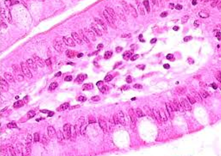 <p>Identify the following</p>