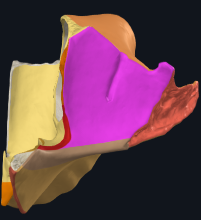 term image
