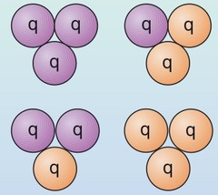 <p>Particles that consist of three (anti)quarks</p>