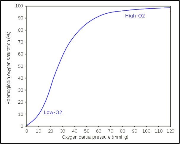 <p>explain the oxyhaemoglobin dissociation curve</p>