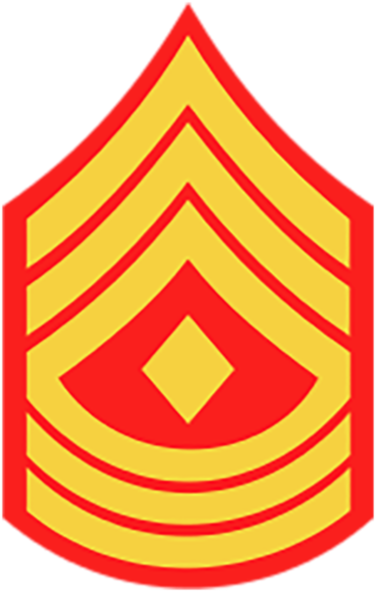 <p>Marine Corps: E-8</p>