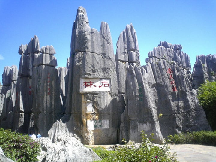 <p>The Stone Forest shílíng</p>