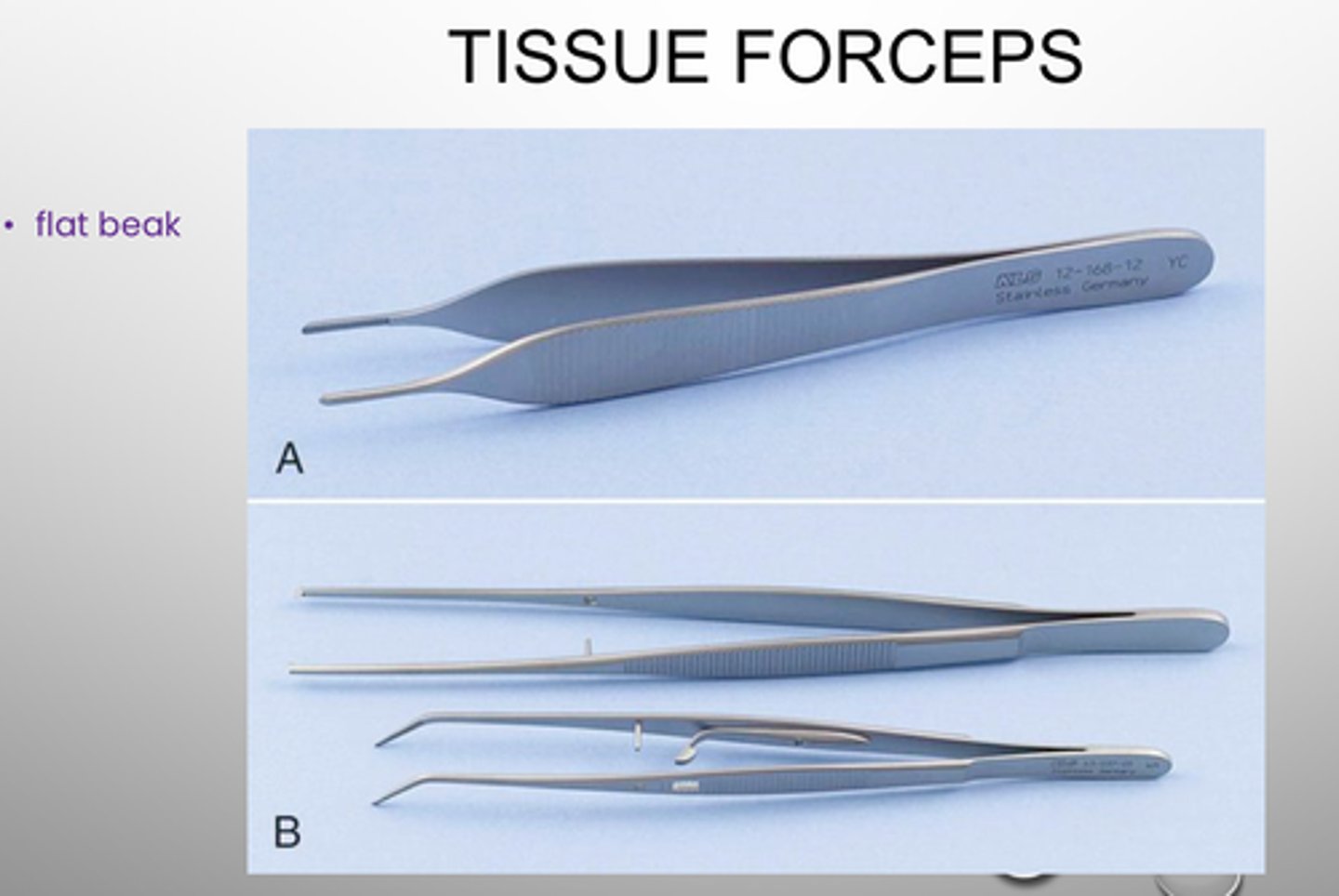 <p>Which OS Tissue Forcep:</p>