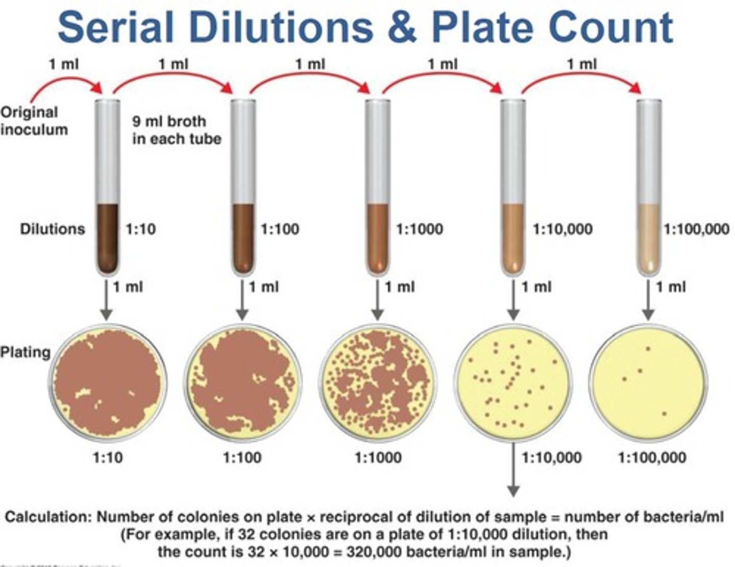 <p>Dilution of a substance several times by the same amount each time</p>