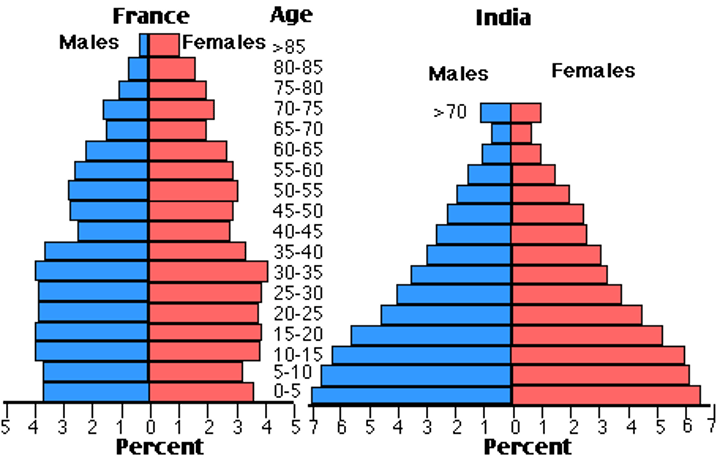 <p>composition of a population in terms of proportion of individuals of different ages</p>