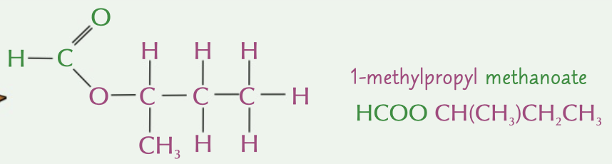 <p>made by reacting an alcohol with a carboxylic acid, the name is a combination of the two</p><p>gives the molecule  -C=OO- functional group</p><p>made in a condensation reaction releasing water</p>