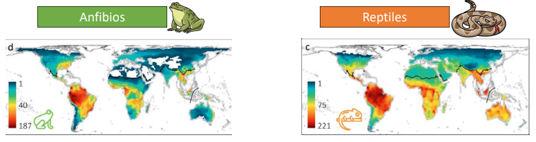 <p>Efectos variables climaticas en los patrones globales de riquezas de spp</p>